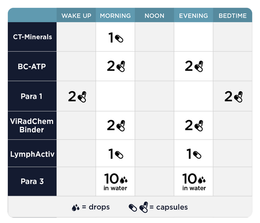 Phase 3: Whole Body Immune Support