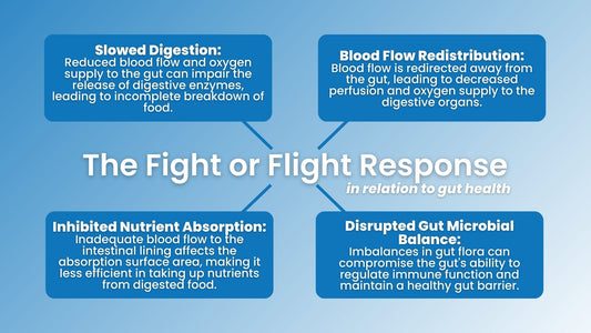 Dr. Jaban's Virtual Rewiring Nervous System & Gut Course