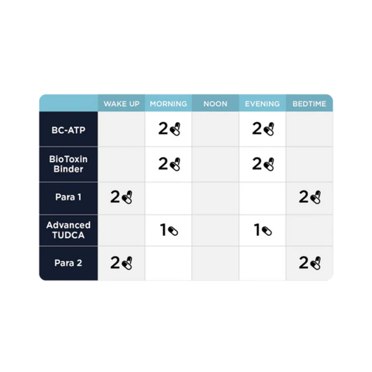 Phase 2: Gut & Immune Support