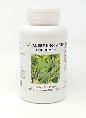 Japanese Knotweed Supreme - Dr Jaban Moore - Store