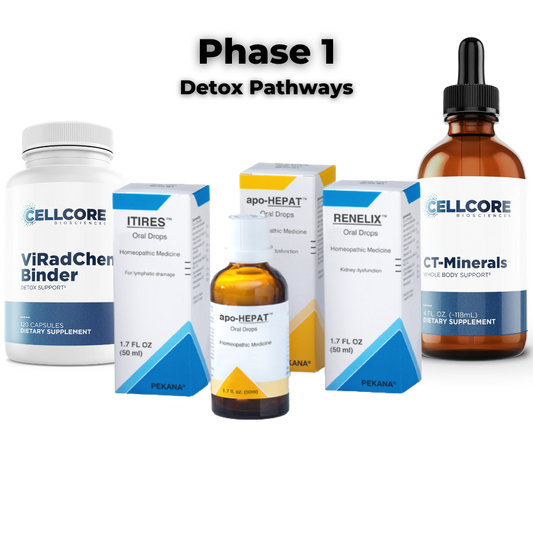 Dr. Jaban's Beginner Health Foundations Starter Kit