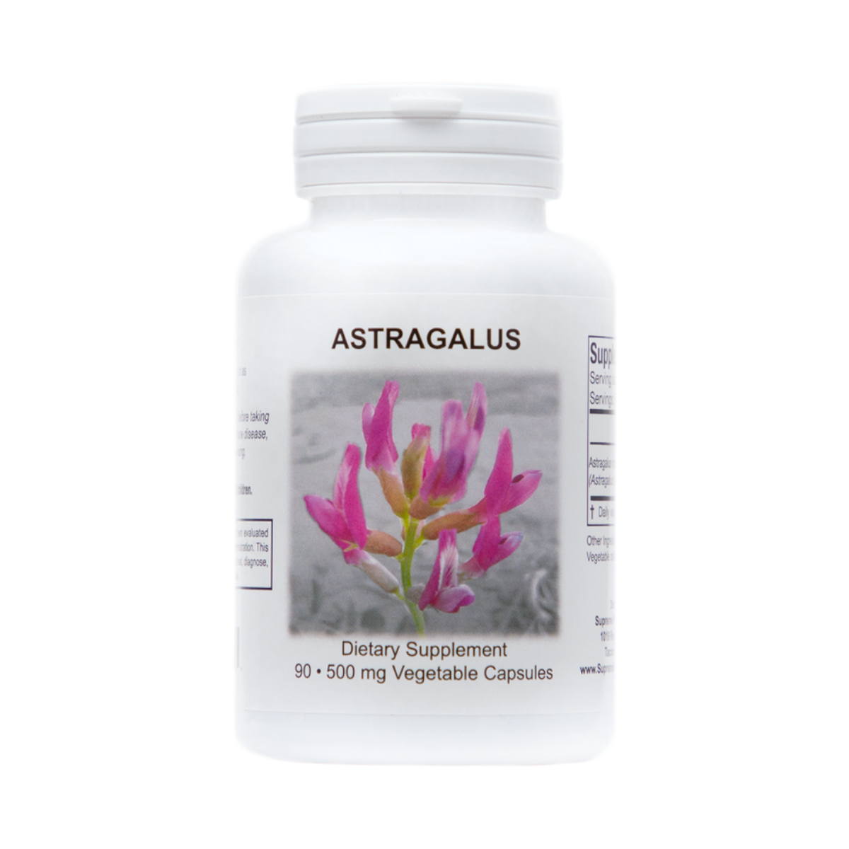 Astragalus