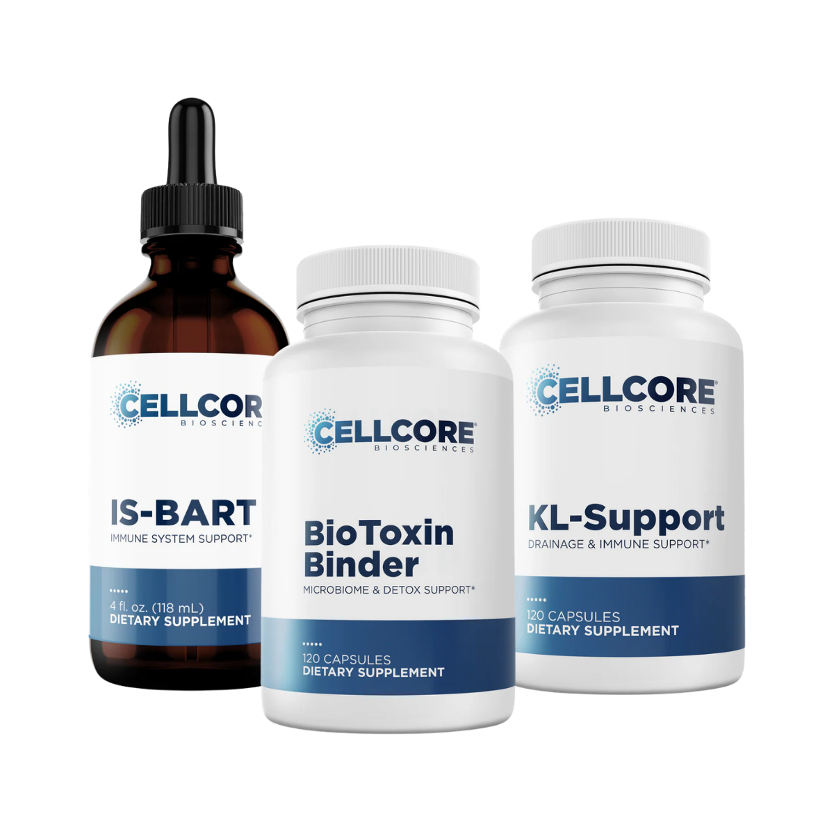 Bacteria Kit 2- Chasing Health Protocols