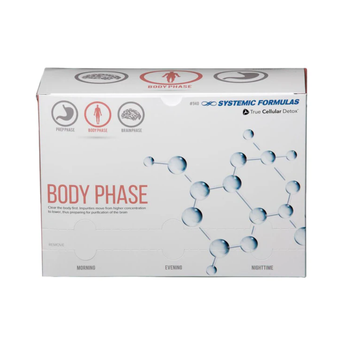 Body Phase