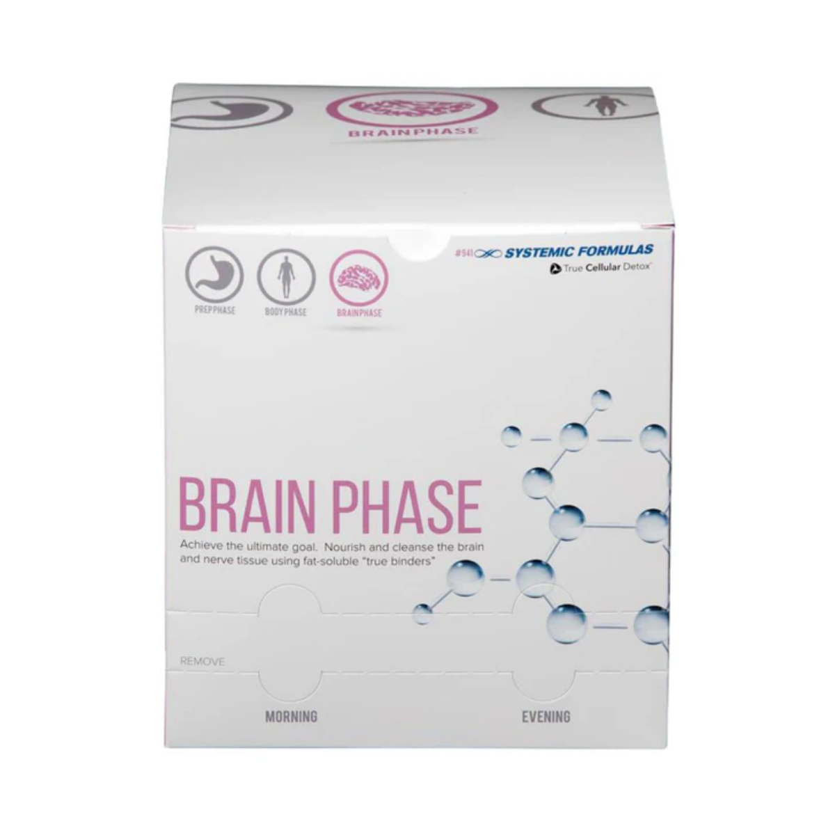 Brain Phase