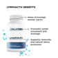Liver Support Kit