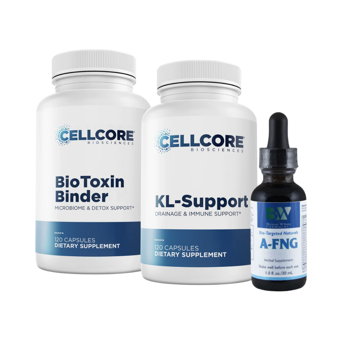 Mold- Chasing Health Protocols