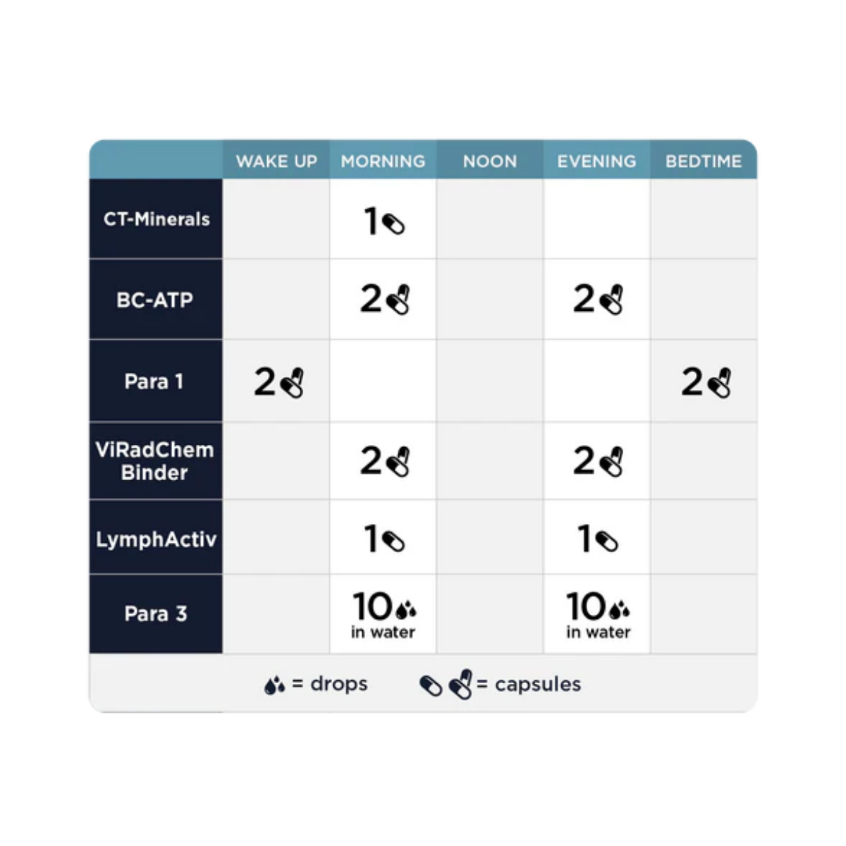 Phase 3: Whole Body Immune Support