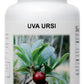 Uva Ursi