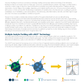 Mosaic IGG Food Allergy Test with Candida