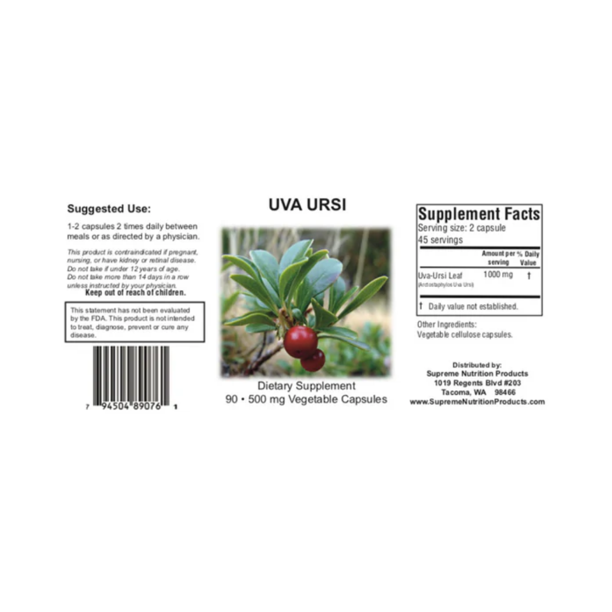 Uva Ursi