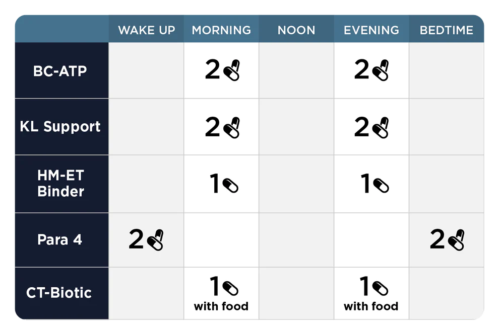 Phase 4a: Systemic Detox